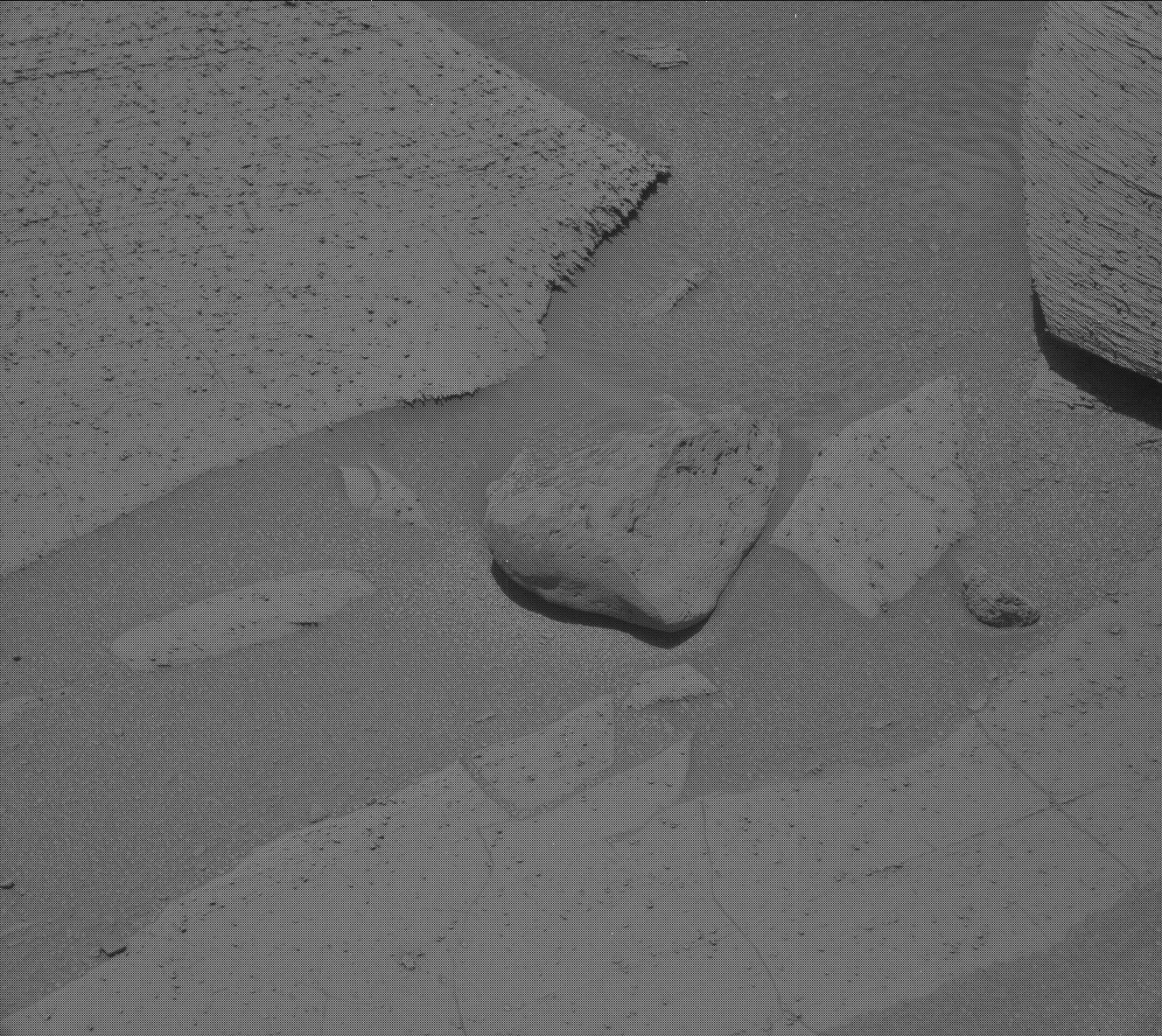 Nasa's Mars rover Curiosity acquired this image using its Mast Camera (Mastcam) on Sol 3801