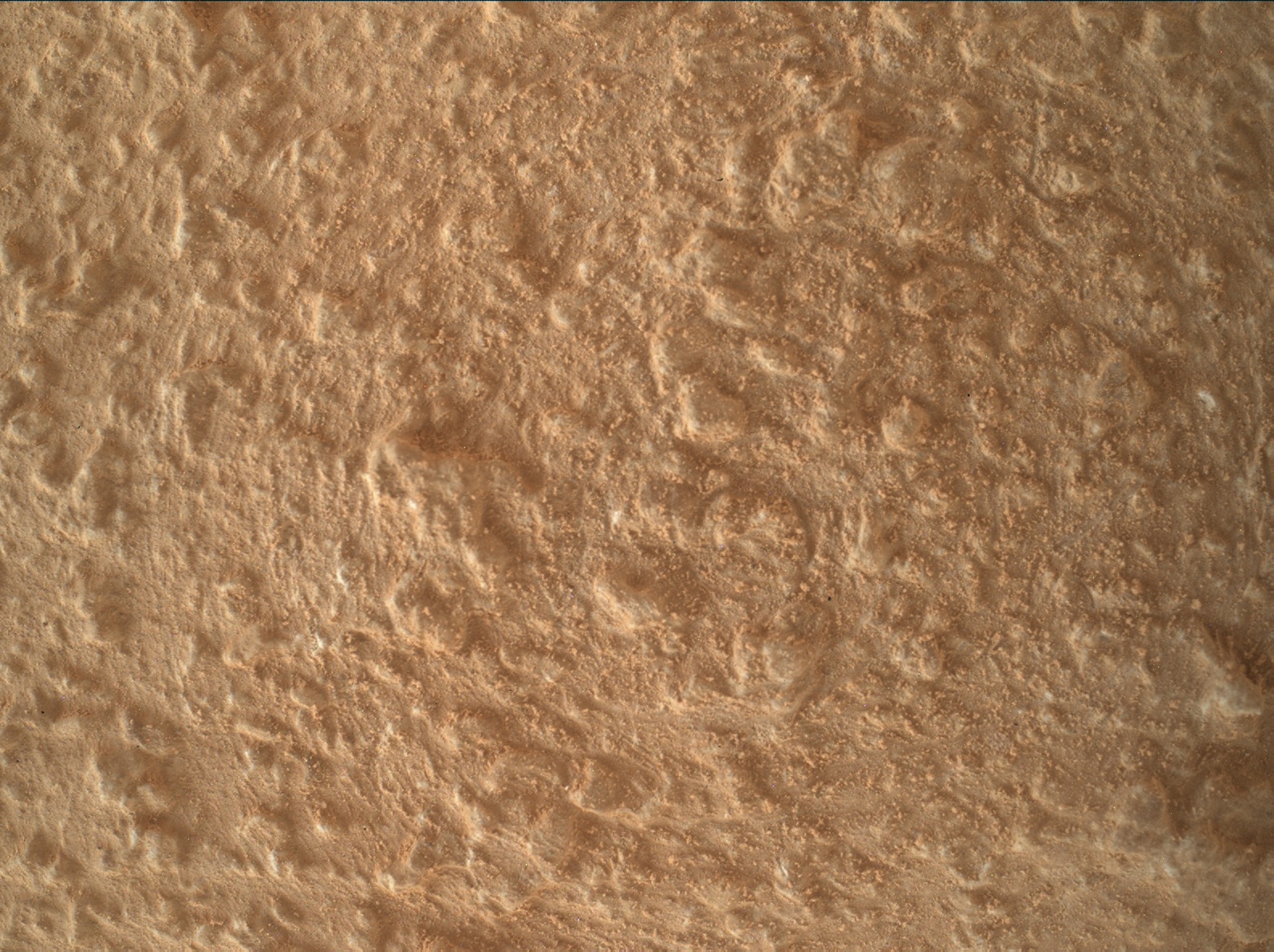 Nasa's Mars rover Curiosity acquired this image using its Mars Hand Lens Imager (MAHLI) on Sol 3810