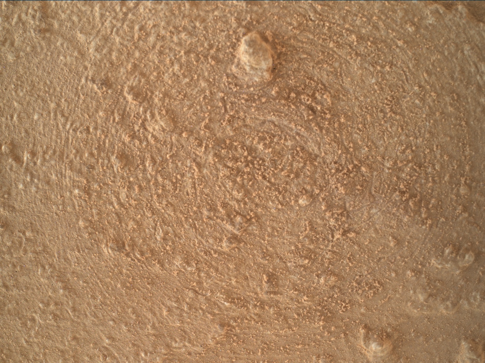 Nasa's Mars rover Curiosity acquired this image using its Mars Hand Lens Imager (MAHLI) on Sol 3819