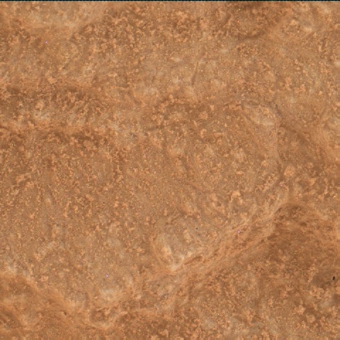 Nasa's Mars rover Curiosity acquired this image using its Mars Hand Lens Imager (MAHLI) on Sol 3837