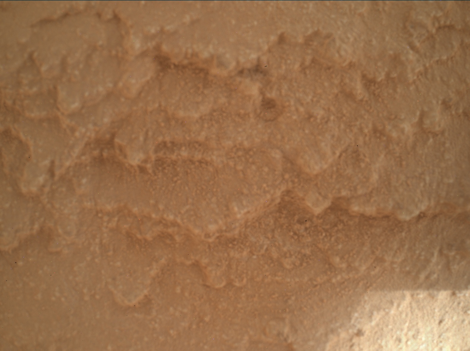 Nasa's Mars rover Curiosity acquired this image using its Mars Hand Lens Imager (MAHLI) on Sol 3837