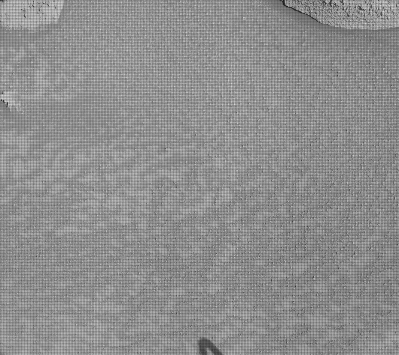 Nasa's Mars rover Curiosity acquired this image using its Mast Camera (Mastcam) on Sol 3860