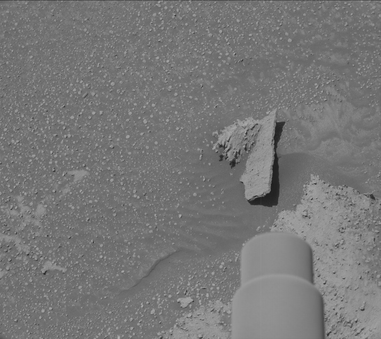 Nasa's Mars rover Curiosity acquired this image using its Mast Camera (Mastcam) on Sol 3865