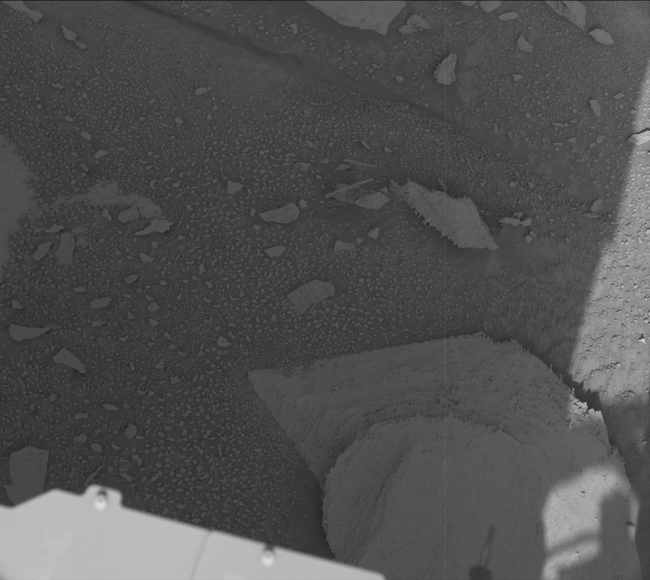 Nasa's Mars rover Curiosity acquired this image using its Mast Camera (Mastcam) on Sol 3878