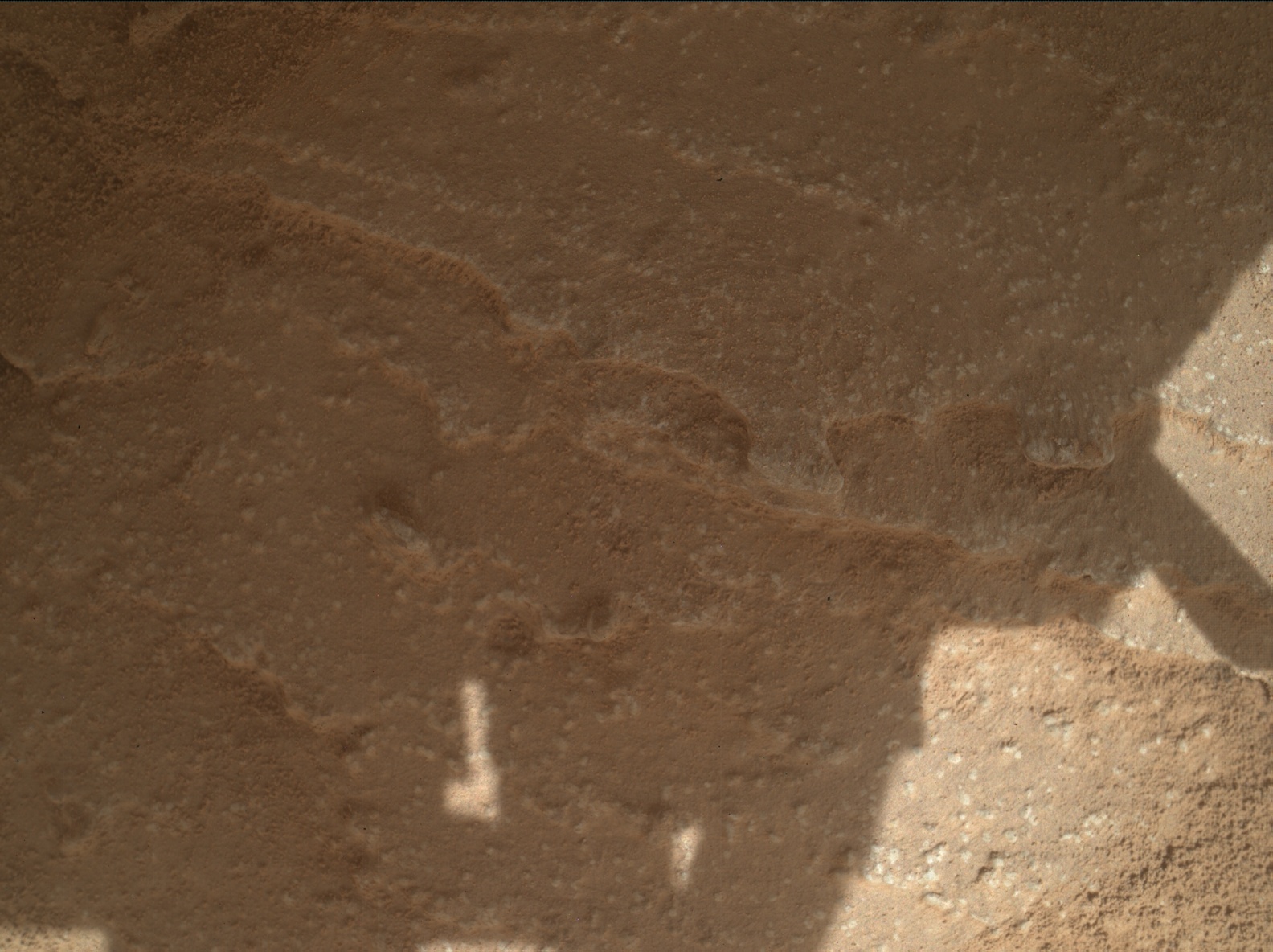 Nasa's Mars rover Curiosity acquired this image using its Mars Hand Lens Imager (MAHLI) on Sol 3887