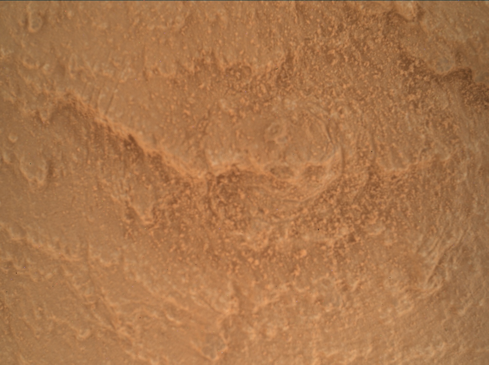 Nasa's Mars rover Curiosity acquired this image using its Mars Hand Lens Imager (MAHLI) on Sol 3914