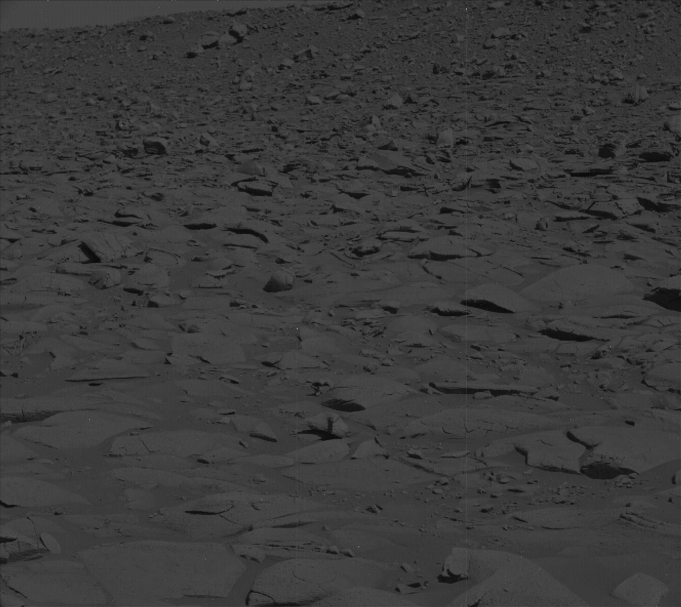 Nasa's Mars rover Curiosity acquired this image using its Mast Camera (Mastcam) on Sol 3917