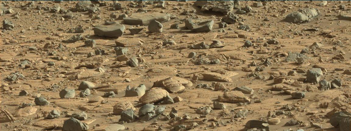 Nasa's Mars rover Curiosity acquired this image using its Mast Camera (Mastcam) on Sol 3917