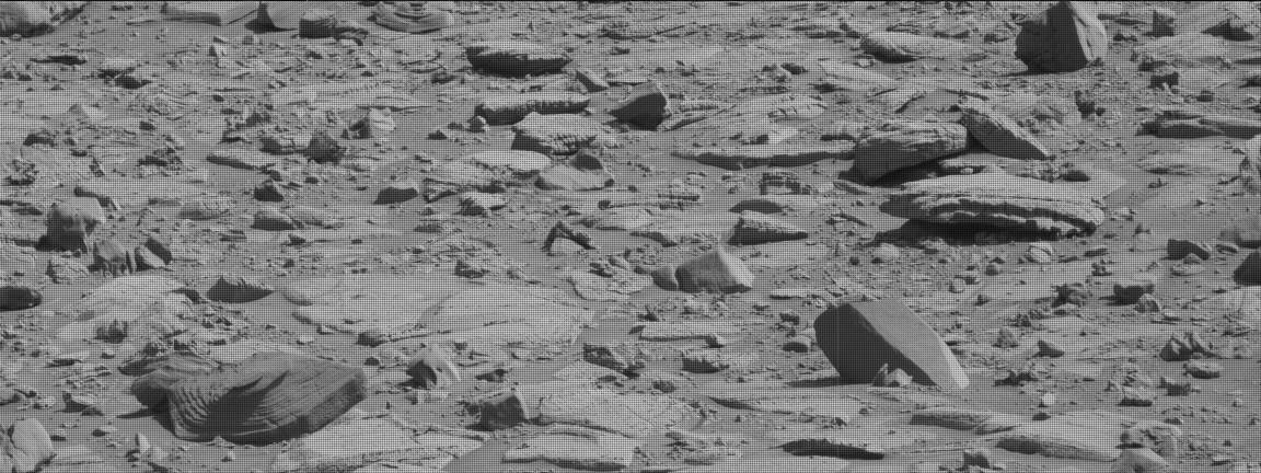 Nasa's Mars rover Curiosity acquired this image using its Mast Camera (Mastcam) on Sol 3919