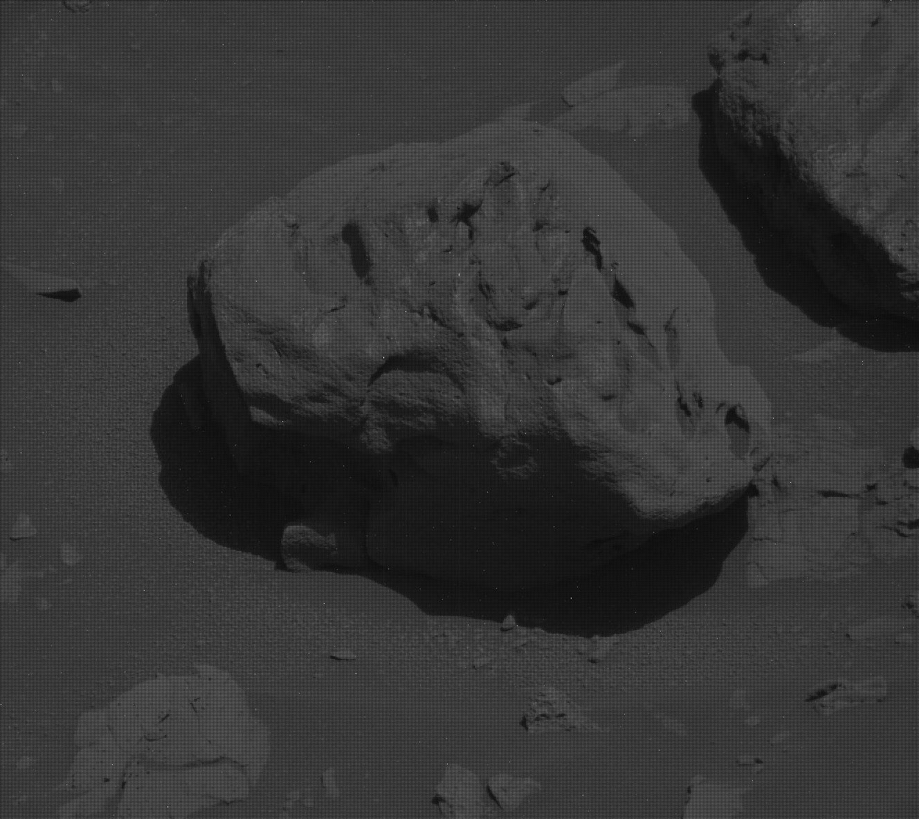 Nasa's Mars rover Curiosity acquired this image using its Mast Camera (Mastcam) on Sol 3919