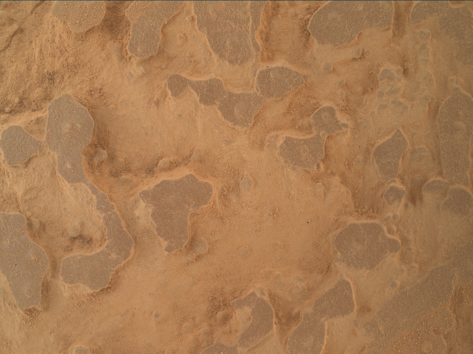Nasa's Mars rover Curiosity acquired this image using its Mars Hand Lens Imager (MAHLI) on Sol 3948