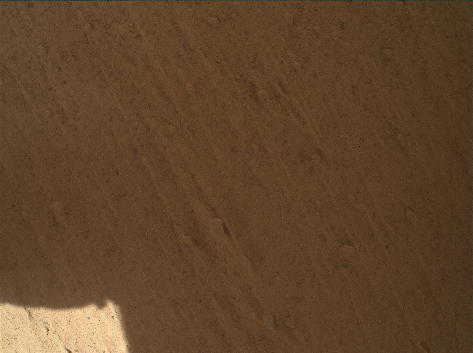 Nasa's Mars rover Curiosity acquired this image using its Mars Hand Lens Imager (MAHLI) on Sol 3960