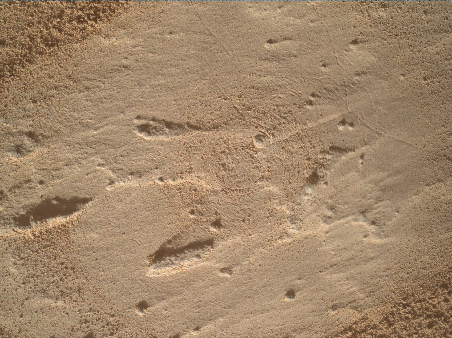 Nasa's Mars rover Curiosity acquired this image using its Mars Hand Lens Imager (MAHLI) on Sol 3964
