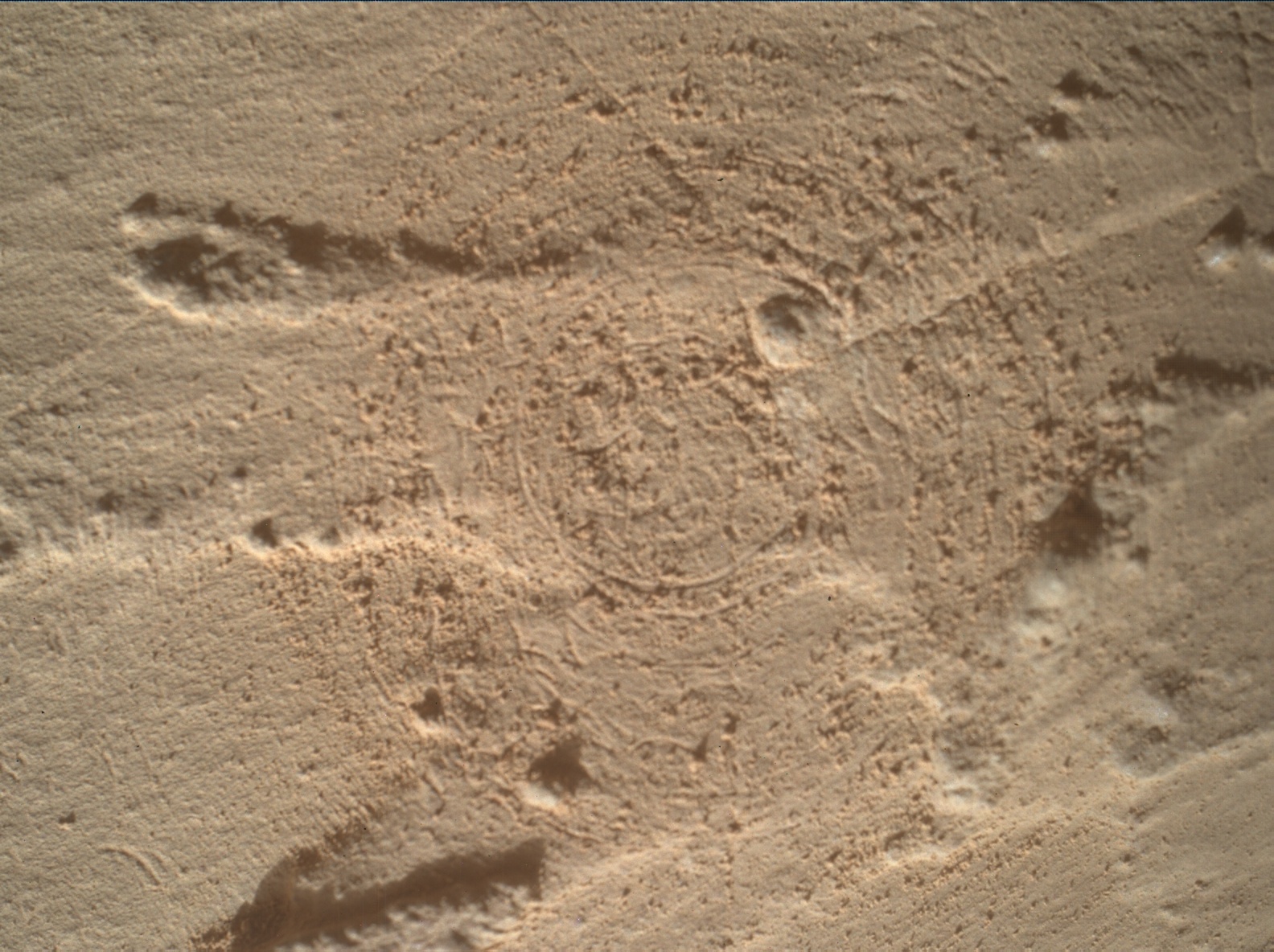 Nasa's Mars rover Curiosity acquired this image using its Mars Hand Lens Imager (MAHLI) on Sol 3964