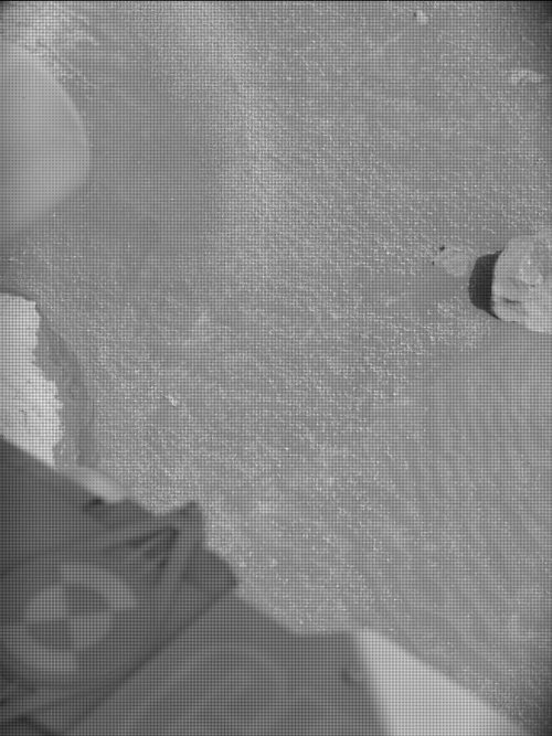 Mast Camera - Left — Sol 5014