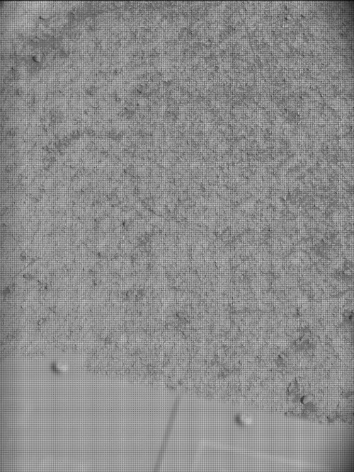 Mast Camera - Left — Sol 5014
