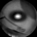 Image taken by ChemCam: Remote Micro-Imager
