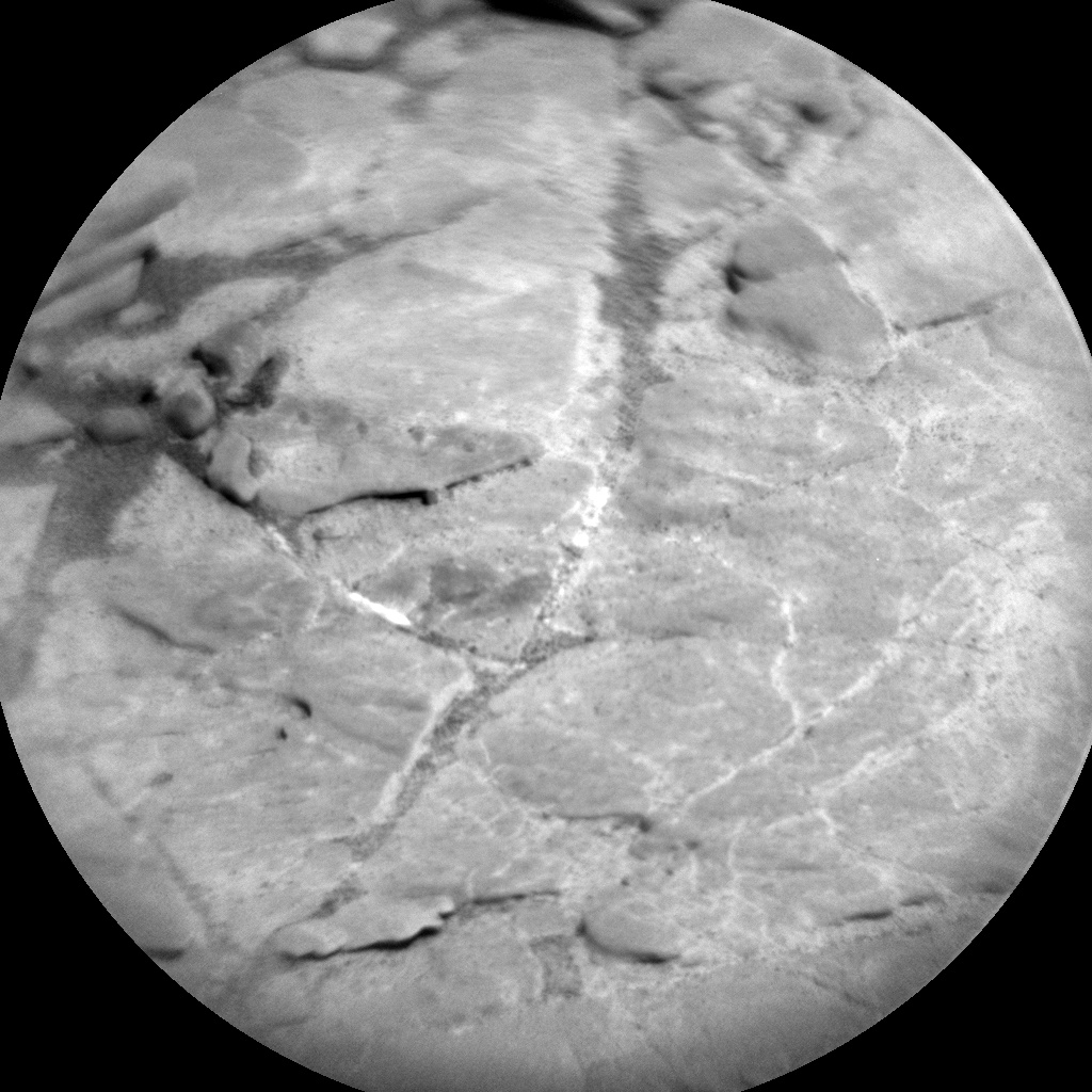 Sol 2545-2546: SAM Clean-Up and a Potpourri of Remote Sensing and Environmental Observations