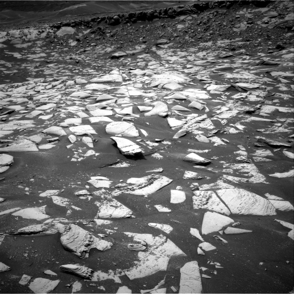 Nasa's Mars rover Curiosity acquired this image using its Right Navigation Camera on Sol 4973, at drive 348, site number 124