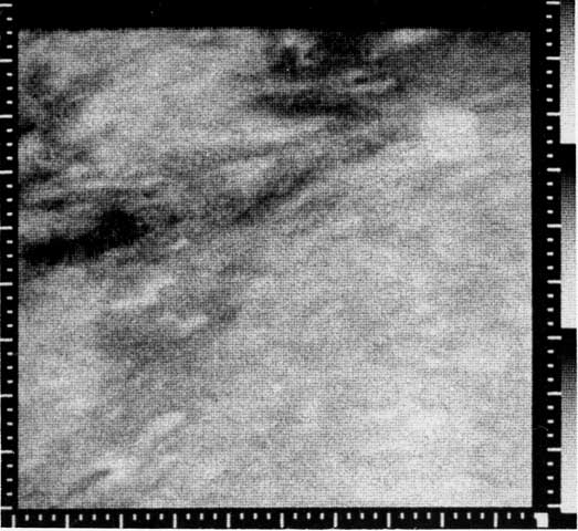 Mariner 4 Image of the Area between Elysium and Amazonis Planitia on ...
