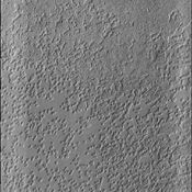 South Polar Textures – NASA Mars Exploration