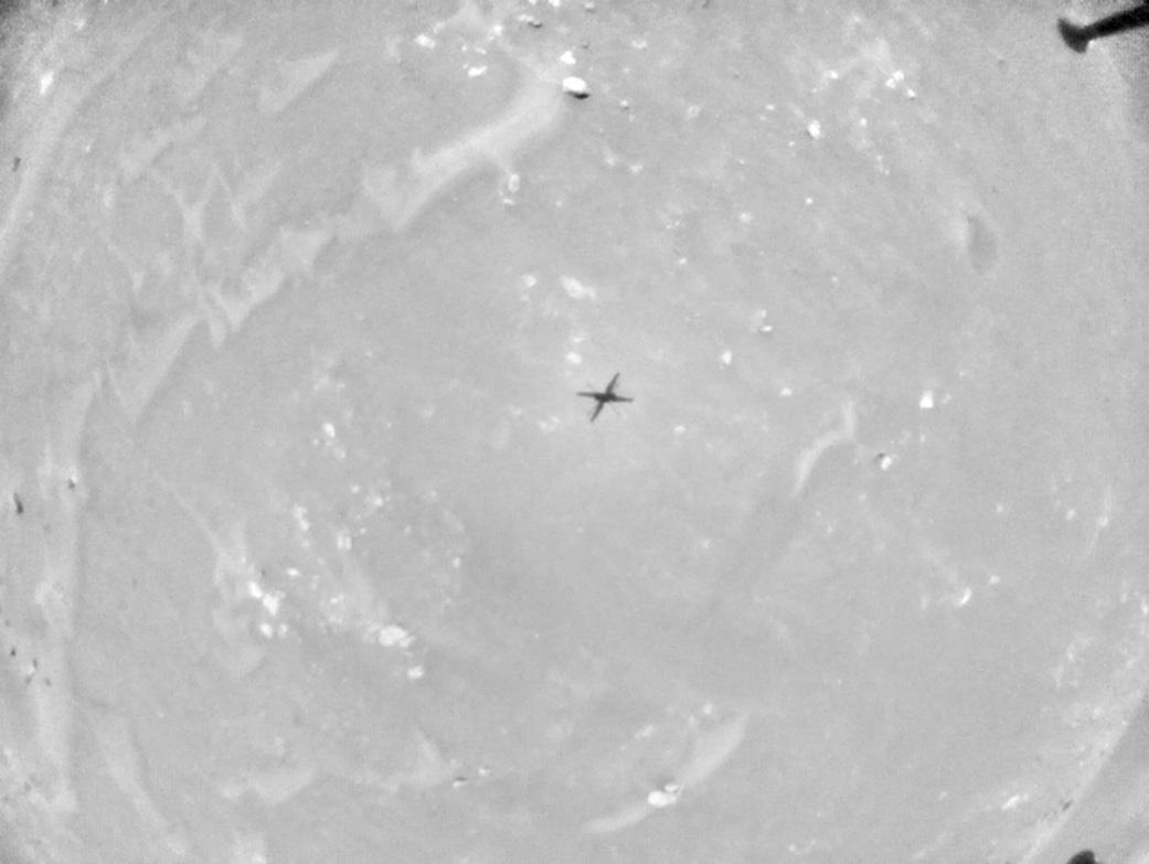 slide 2 - This black and white sequence of helicopter images – taken on May 22, 2021, by the navigation camera aboard NASA’s Ingenuity Mars Helicopter – shows the last 29 seconds of the rotorcraft’s sixth flight. 