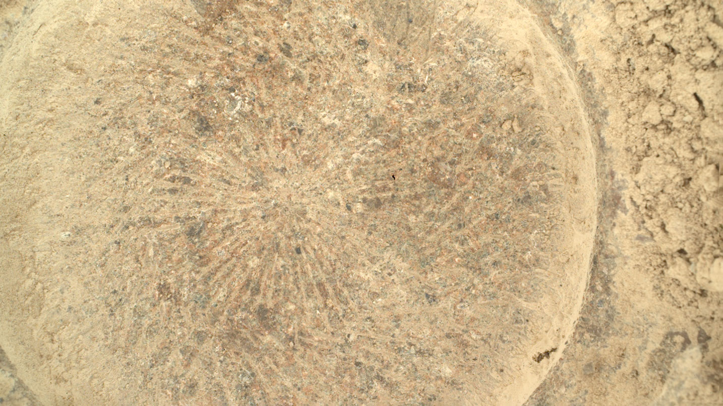 slide 2 - Element-ary, My Dear WATSON