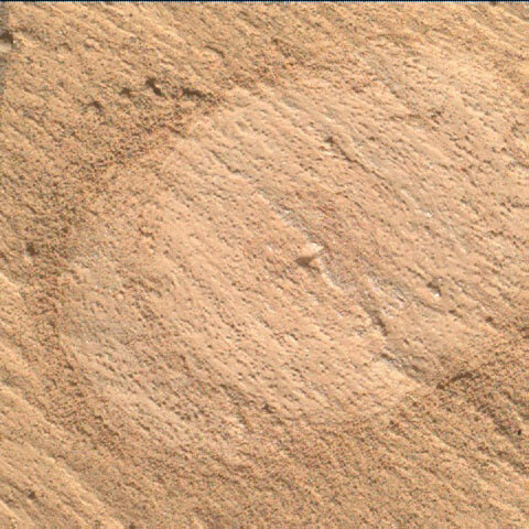 Image taken by the Mars rover Curiosity of a close-up a brush of the rock surface around Zechstein.