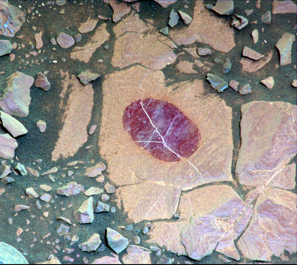 This false-color image shows how special filters of the Curiosity Mars rover's Mastcam can help reveal certain minerals in target rocks. It is a composite of images taken Sept. 17, 2017, through three "science" filters chosen to make hematite, an iron-oxide mineral, stand out as exaggerated purple.