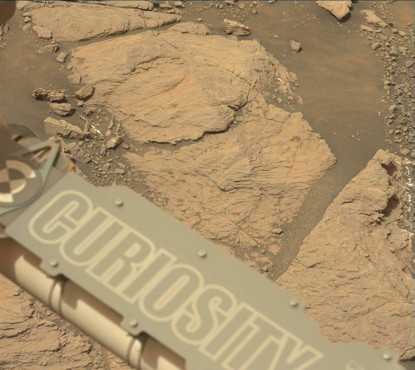 NASA's Curiosity Mars took this image with its Mastcam on Feb. 10, 2019 (Sol 2316). The rover is currently exploring a region of Mount Sharp nicknamed "Glen Torridon" that has lots of clay minerals.