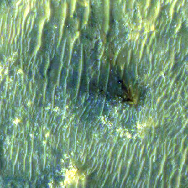 The HiRISE camera aboard NASAs Mars Reconnaissance Orbiter was able to capture this image of the descent stage that helped fly NASAs Perseverance rover down to the surface of Mars.