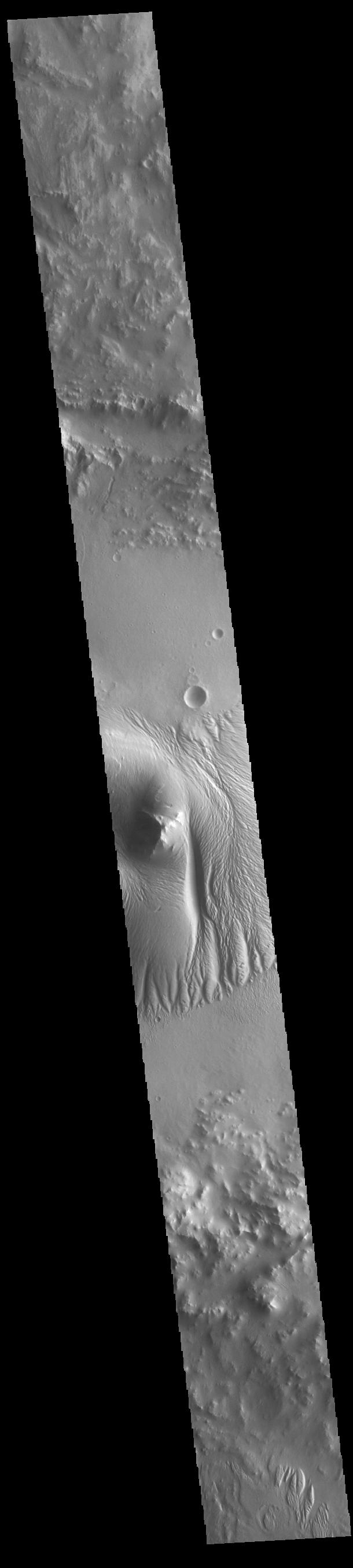 Nicholson Crater – NASA's Mars Exploration Program - Vimarsana News