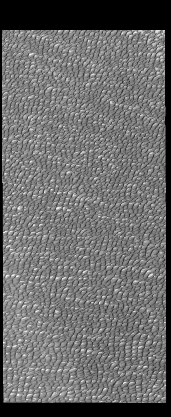 Olympia Undae NASA Mars Exploration