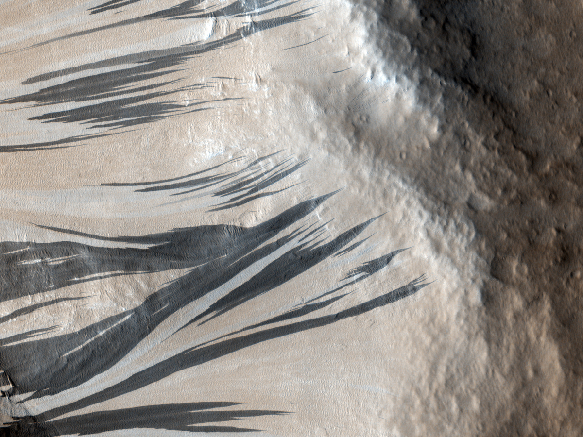 These dark streaks, also known as “slope streaks,” resulted from dust avalanches in an area of Mars called Acheron Fossae. The HiRISE camera aboard NASA’s Mars Reconnaissance Orbiter captured them on Dec. 3, 2006.