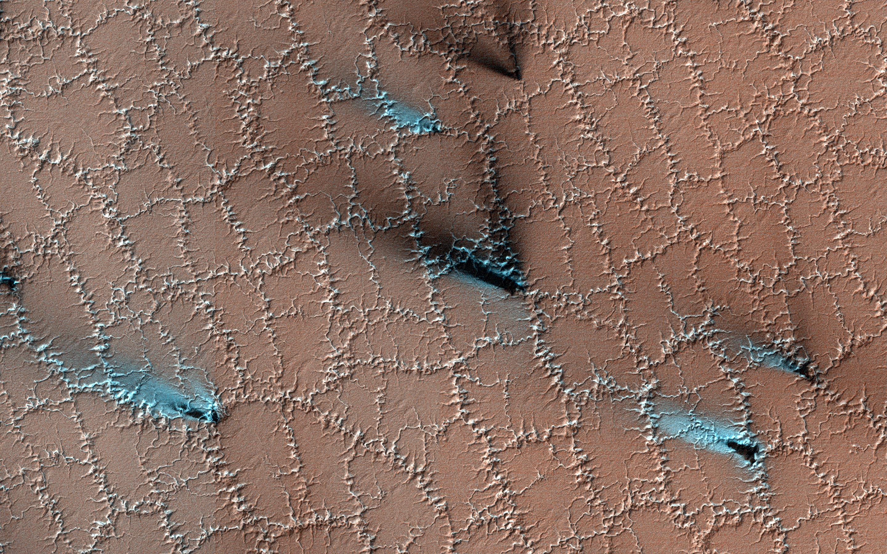 HiRISE captured this spring scene, when water ice frozen in the soil had split the ground into polygons. Translucent carbon dioxide ice allows sunlight to shine through and heat gases that escape through vents, releasing fans of darker material onto the surface (shown as blue in this enhanced-color image).
