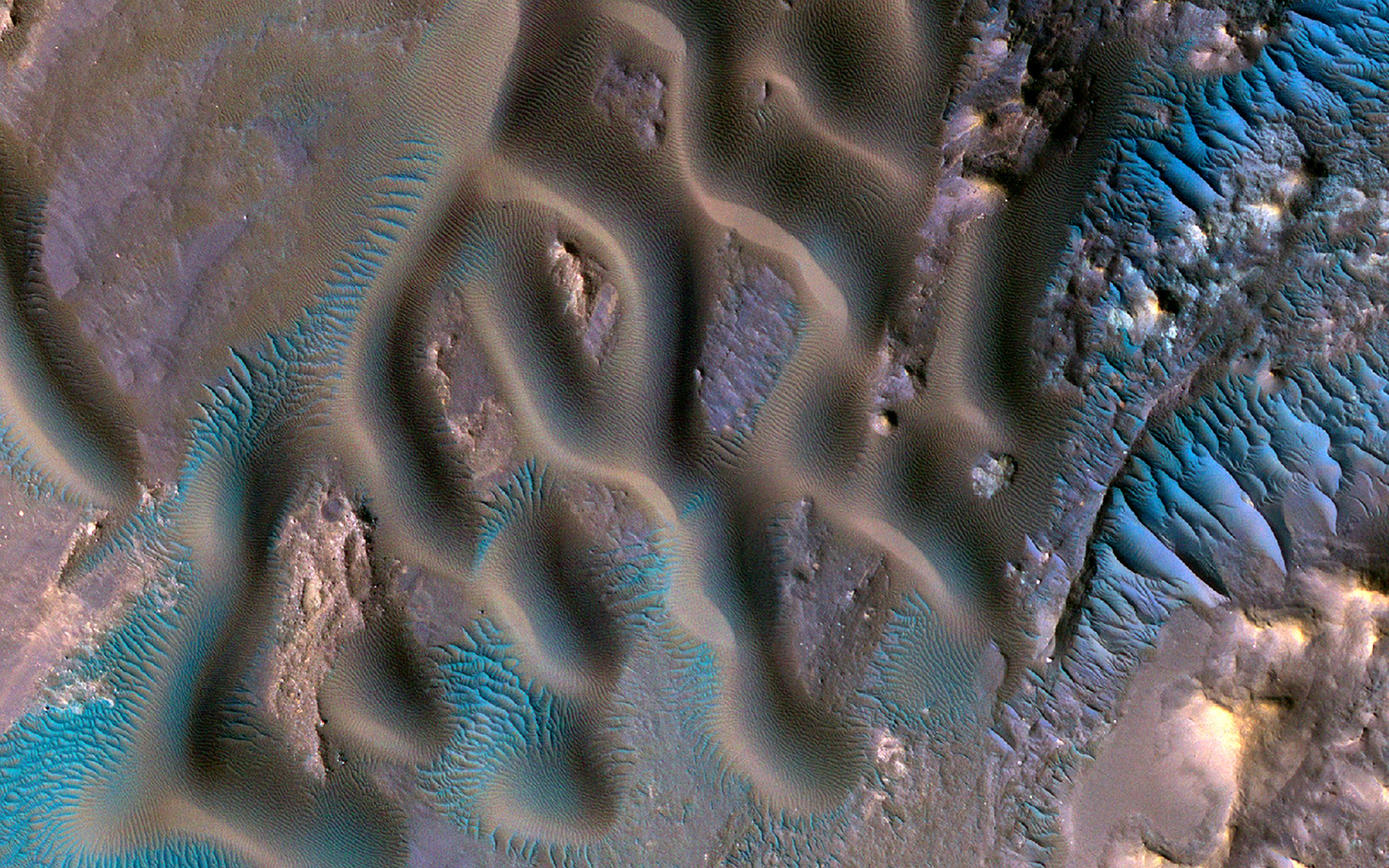 This image acquired on December 13, 2017 by NASAs Mars Reconnaissance Orbiter shows a variety of wind-related features near the center of Gamboa Crater. Larger sand dunes form sinuous crests and individual domes.
