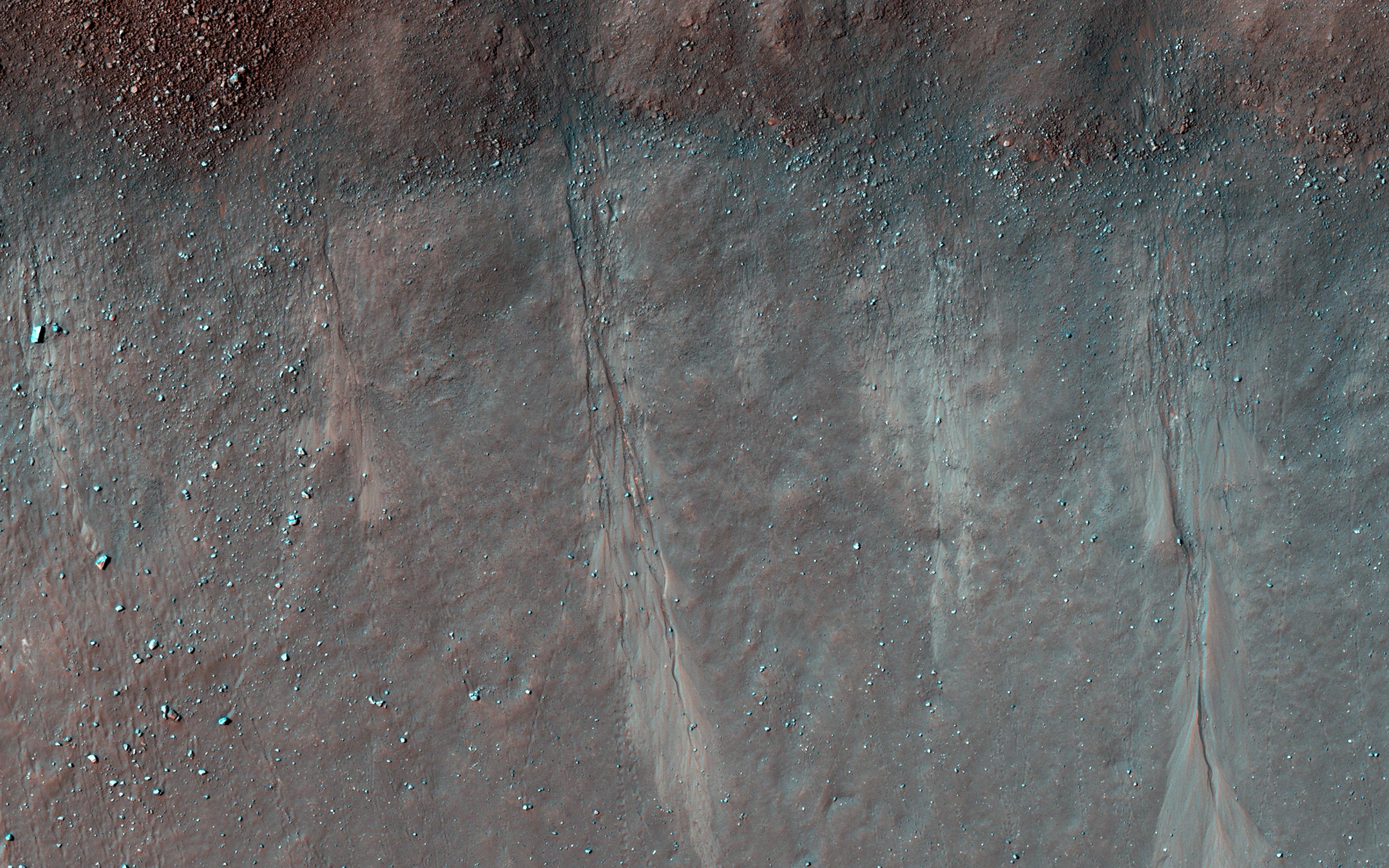 This image acquired on August 28, 2022 by NASAs Mars Reconnaissance Orbiter shows several shallow gully channels with associated debris aprons emanating from a buried layer on the interior of a crater wall.