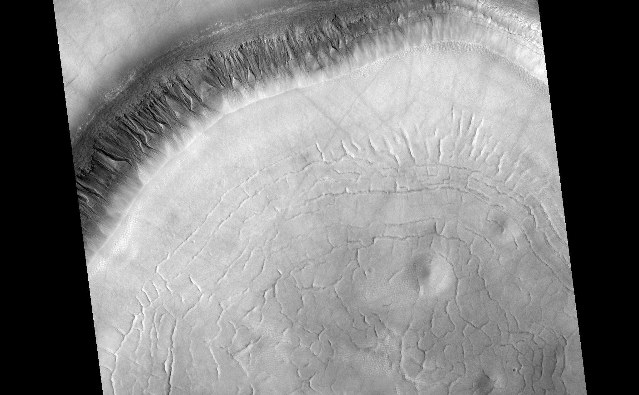 HiRISE image (PSP_001942_2310) shows a crater approximately 11 km (7 miles) in diameter, located in Acidalia Planitia, part of the Northern Plains. Several features in and around this crater are suggestive of fluids and ice at and near the surface. 

The south-looking (or equator facing) walls of this crater are cut by numerous gullies such as the ones shown in this image's cutout (500 x 600 m or 550 x 650 yards), with well developed alcoves, sinuous channels, and terminal fan deposits. These gullies seem to originate at the same height, suggesting that the carving agent may have emanated from one single layer exposed in the crater's wall. 

Contrastingly, no gullies are observed in the north-looking (or pole facing) wall of this crater. Terrestrial gullies very similar to the ones shown in this image are produced by surface water. The arrows in the cutout show fissures that may indicate detachment of surficial materials possibly held together by subsurface ice, sliding en masse down the crater's wall. 

The muted topography of the crater and its surroundings, the relatively shallow floor (300 m or 330 yards), the convex slope of its walls-all are consistent with ice being present under the surface, mixed with rocks and soil. Ice would have acted as a lubricant, facilitating the flow of rocks and soils and hence smoothing landscape's features such as ridges and craters' rims.

The concentric and radial fissures in the crater's floor may indicate decrease of volume due to loss of underground ice. Piles of rocks aligned along these fissures and arranged forming polygons are similar to features observed in terrestrial periglacial regions such as Antarctica. Antarctica's features are produced by repeated expansion and contraction of subsurface soil and ice, due to seasonal temperature oscillations. The funnel-shaped depressions visible in the crater's floor could be collapse pits, further evidence of ice decay; alternatively, they could be smoothed-out impact craters.