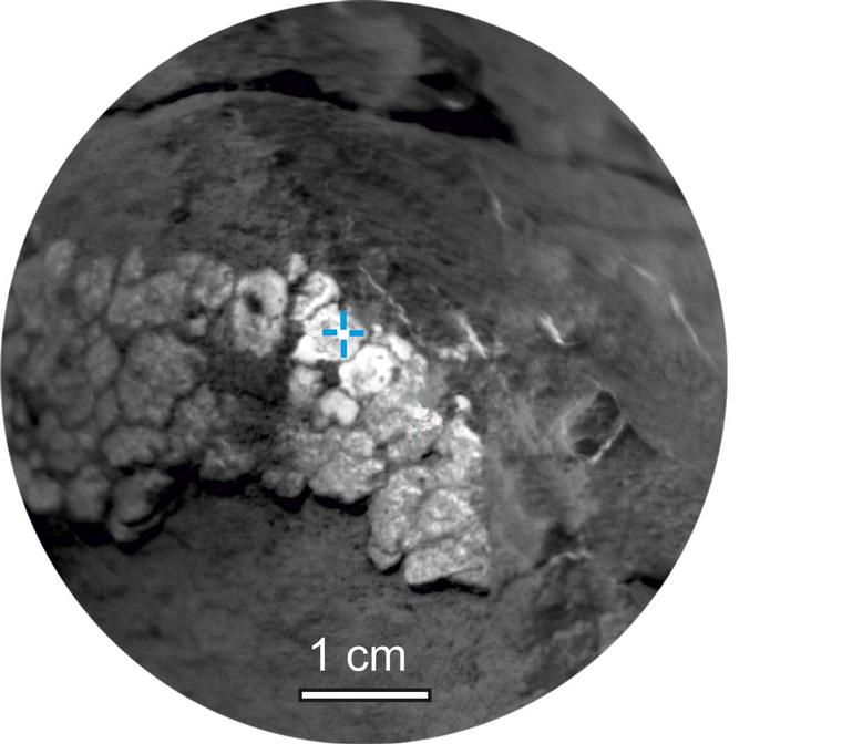 This image shows ChemCam's close-up of the rock named "Rapitan" with the analysis of its elemental composition.