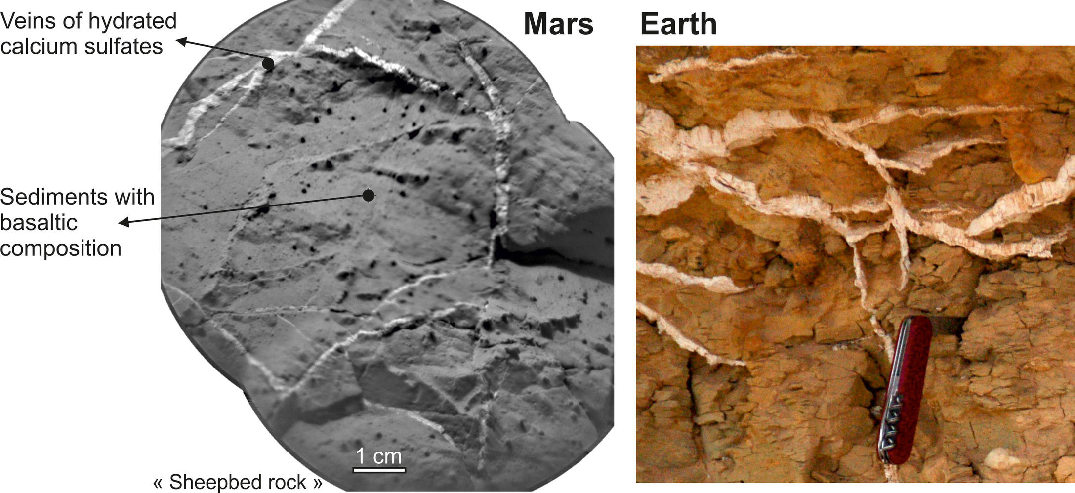 This set of images shows the similarity of sulfate-rich veins seen on Mars by NASA's Curiosity rover to sulfate-rich veins seen on Earth.