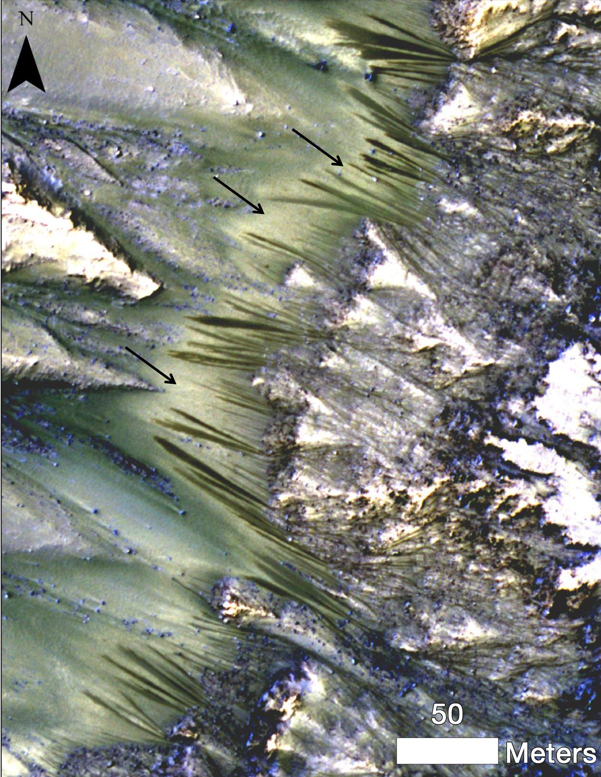 Dark, seasonal flows emanate from bedrock exposures at Palikir Crater on Mars in this image from the High Resolution Imaging Science Experiment (HiRISE) camera on NASA's Mars Reconnaissance Orbiter.
