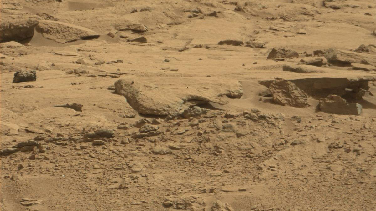 An open-beaked bird appears perched on a rock, poised for flight. If this rock were a real bird, it would need to learn new ways to fly. It might be easy to lift off in the weaker gravity of Mars, but staying in flight would be hard. That's because Mars has a thin atmosphere and low air pressure.