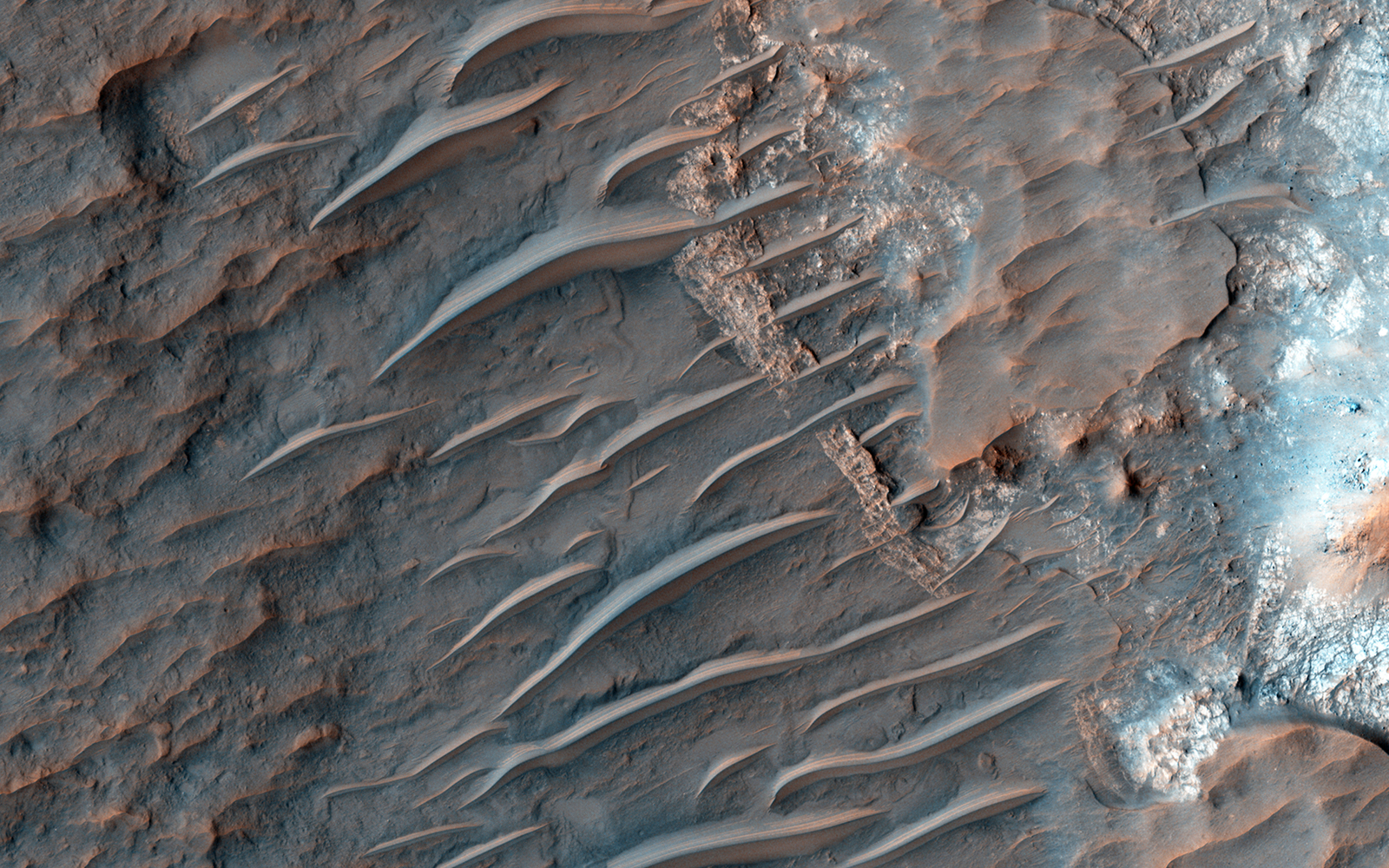 These long, smooth features are sand ridges shaped by the constant martian wind.