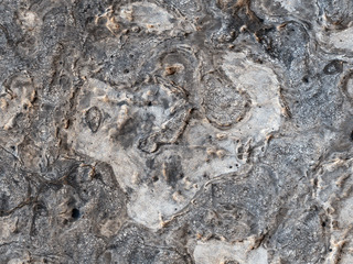 View image for Exploring Meridiani Planum