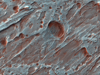 View image for Fans of Roddy Crater