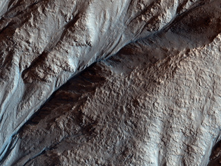 View image for Crater Gullies and Fractures in Acidalia Planitia