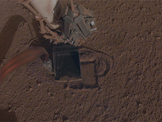 This GIF shows NASA InSight's heat probe, or "mole," digging about a centimeter (half an inch) below the surface last week. 