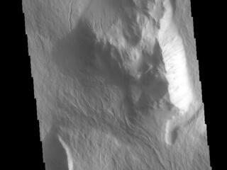 View image for Olympus Rupes