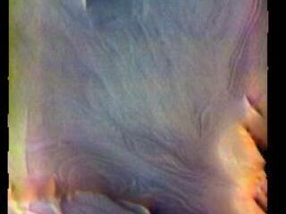 View image for Angustus Labyrinthus - False Color