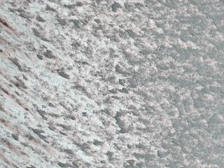 View image for Rapid Changes on the North Polar Cap